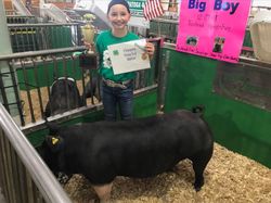 Champion Hamp - Overall Grand