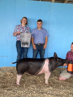 Supreme Overall Champion Barrow