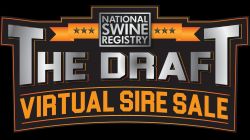The Draft Virtual Sire Sale — National Swine Registry
